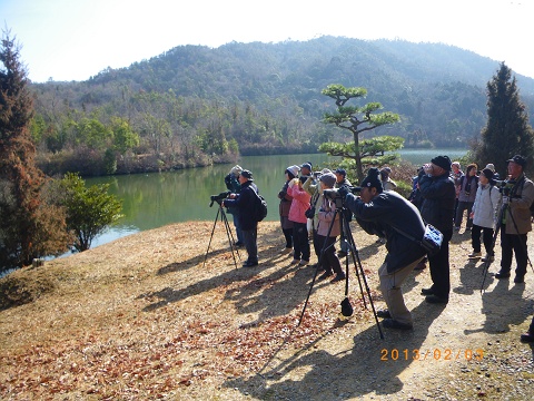 IMGP2508_s.JPG