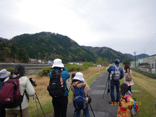 IMGP2596-T.JPG