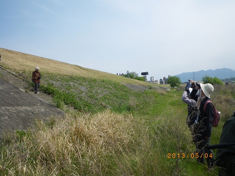 IMGP2612_M.JPG