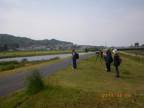 IMGP2627_M.JPG