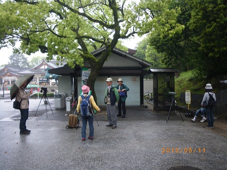IMGP2629_M.JPG