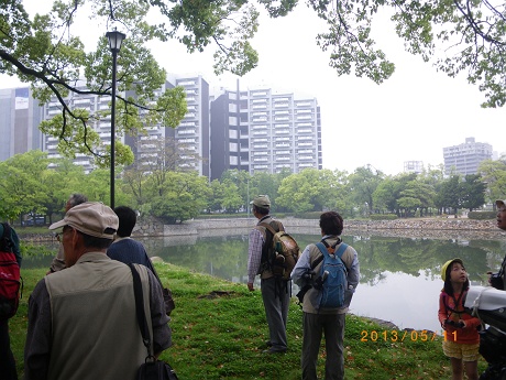 IMGP2639_M.JPG