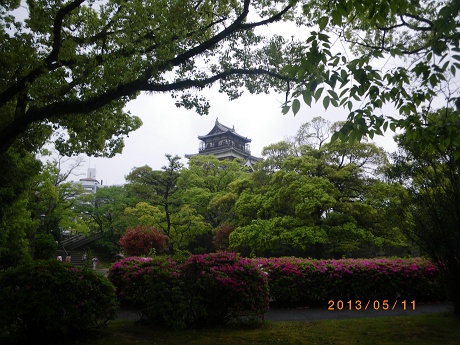 IMGP2651_M.JPG