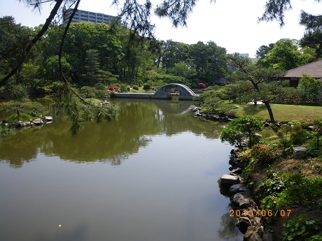 IMGP2686_M.JPG