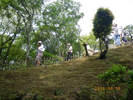 IMGP2694_M.JPG