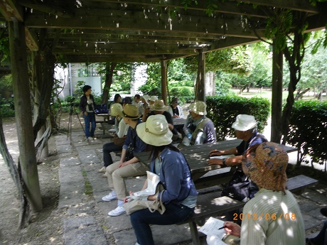 IMGP2701_M.JPG