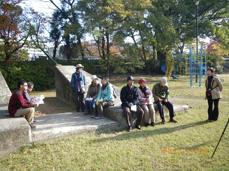 IMGP2826-1_M.jpg