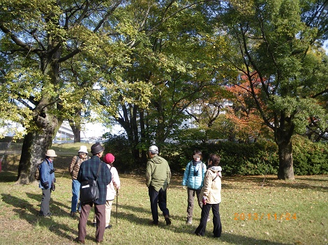 IMGP2829-1_M.jpg