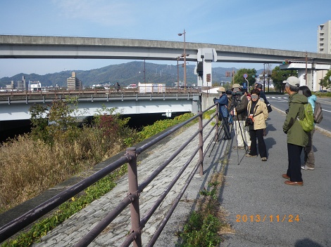 IMGP2834-1_M.jpg