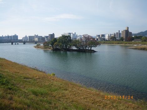 IMGP2839_M.JPG