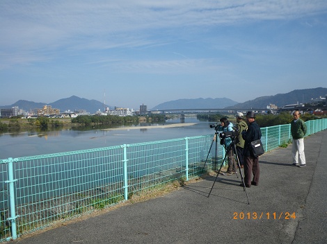 IMGP2849_M.JPG