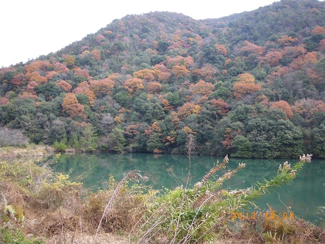 IMGP2871_M.JPG