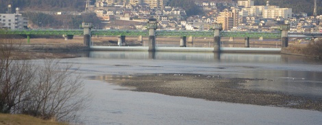 IMGP2915_M.JPG