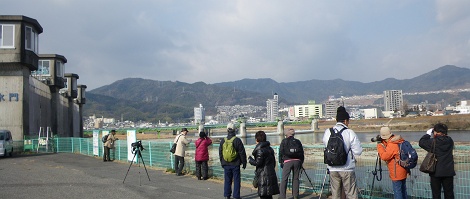 IMGP2917_M.JPG