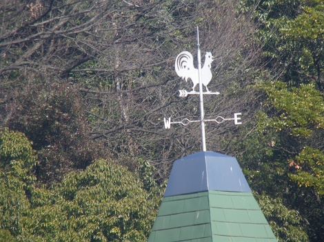 IMGP3146_M.JPG