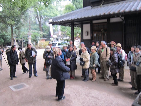 IMG_0042_T.JPG