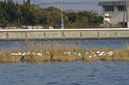 IMG_0316-T.jpg