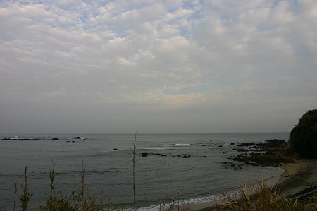 IMG_0357-T.jpg