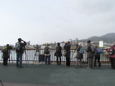 IMG_0937-T.jpg