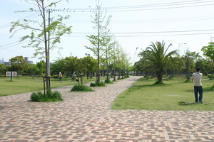 IMG_1568.jpg