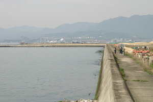 IMG_1597.jpg