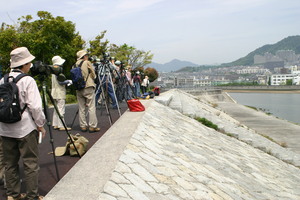 IMG_1604.jpg