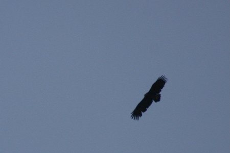 IMG_5999-T.jpg