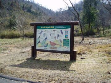 P3020002.jpg
